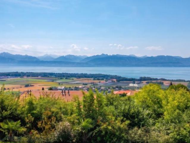 Haus kaufen in Féchy, Waadt