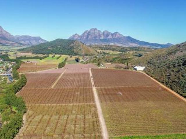 Farm for sale in Pniel, Western Cape