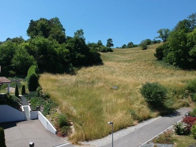 Immobilie kaufen in Herdern, Thurgau