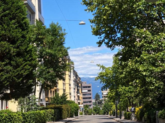 Haus kaufen in Florissant, Genève