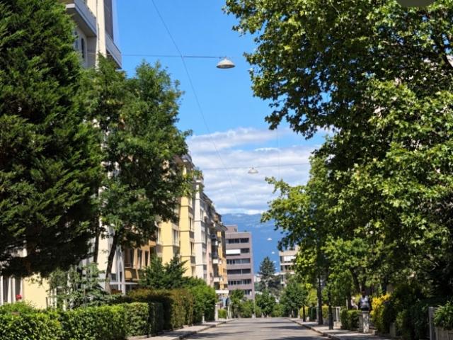 Einfamilienhaus kaufen in Florissant, Genève