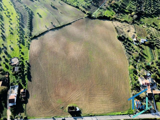 Terreno venda em Colégio Nuno Álvares, Tomar