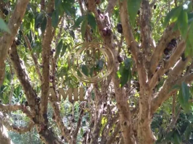 Fazenda venda em Região Imediata de São José dos Campos, Região Metropolitana do Vale do Paraíba e Litoral Norte