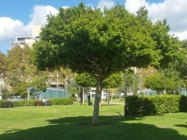Local Comercial en venta en Pere Garau, Palma