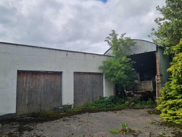 Farm for sale in Athea