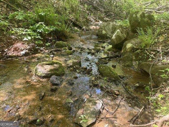 Land for sale in Athens, Georgia