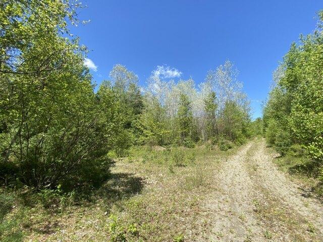 Land for sale in Athens, Maine