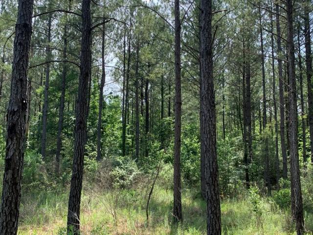 House for sale in Wesson, Mississippi