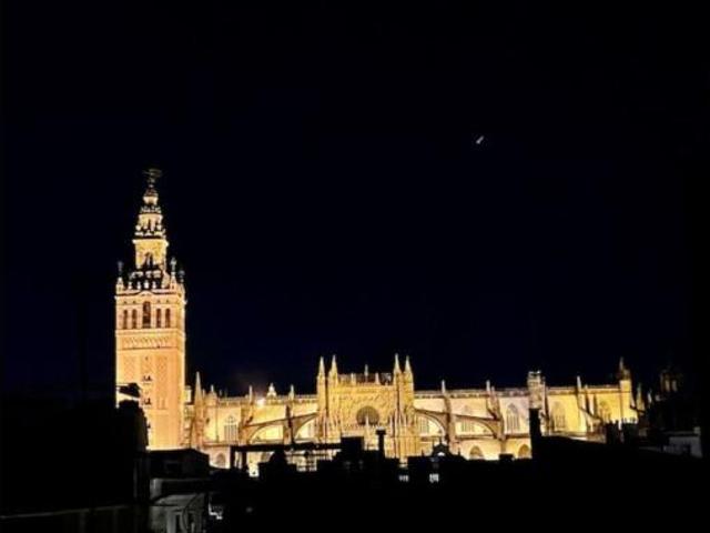 Ático en alquiler en Casco Antiguo, Sevilla