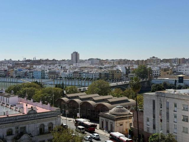 Ático en alquiler en Casco Antiguo, Sevilla