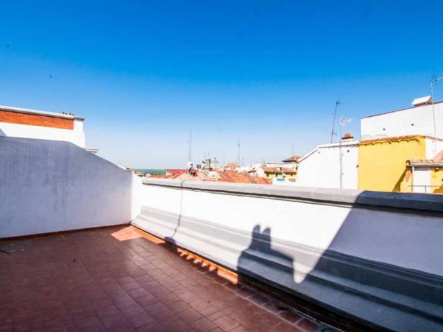 Apartamento en alquiler en Urbanización Punta Prima, el Baix Segura / La Vega Baja