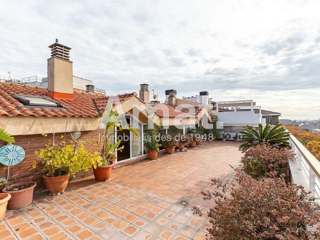 Ático en alquiler en Roses-Castellbell, Sant Feliu De Llobregat