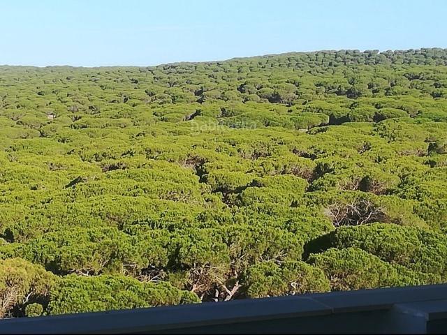 Ático en venta en Residencial Las Pérgolas, La Janda