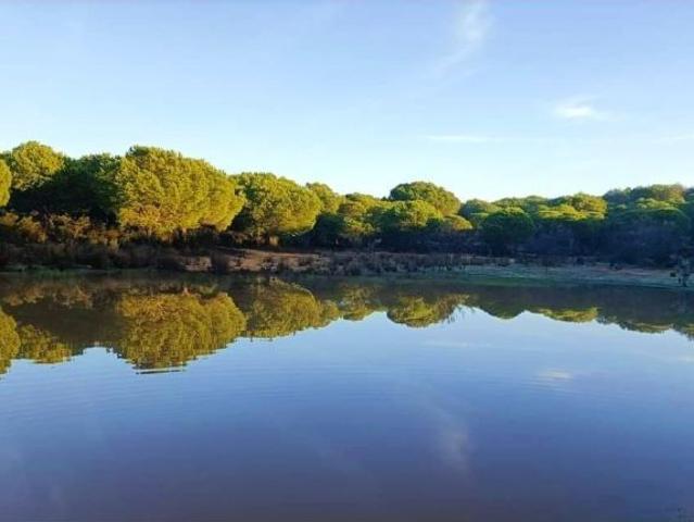 Piso en venta en Comarca Metropolitana de Huelva, Andalucía