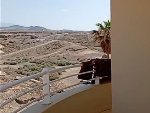 Ático en venta en Tenerife, Los Abrigos