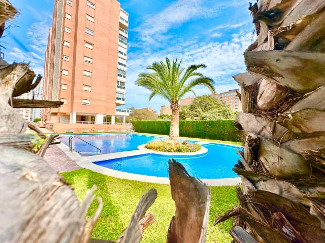 Ático en venta en Casco Antiguo - Santa Cruz - Ayuntamiento, l'Alacantí