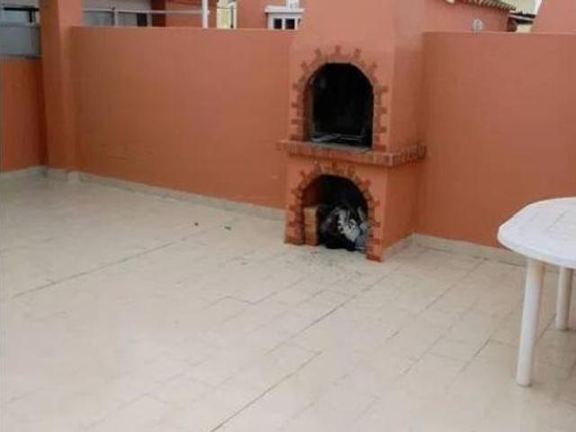 Ático en venta en Cabo Cervera-Playa la Mata, el Baix Segura / La Vega Baja
