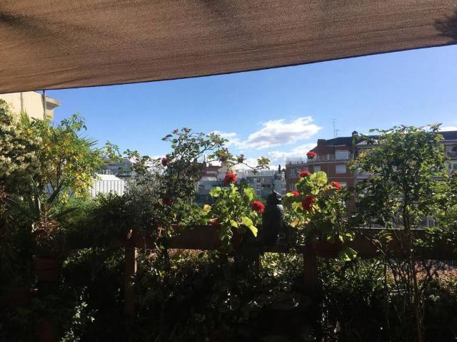 Ático en alquiler en Madrid