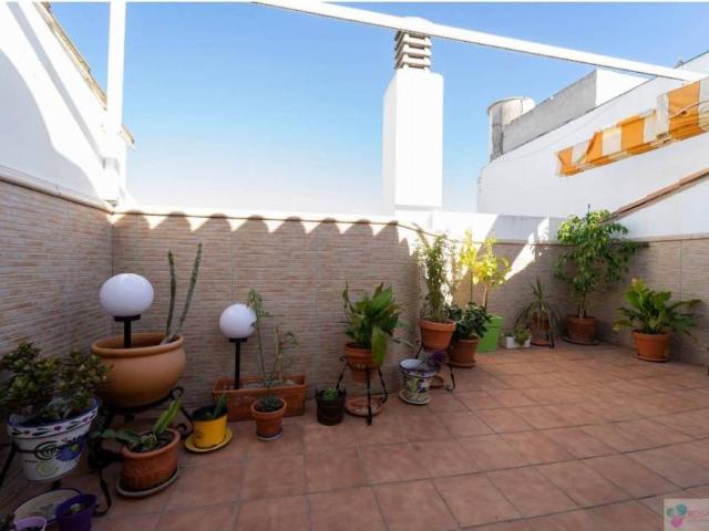 Ático en alquiler en Marbella, San Pedro de Alcántara