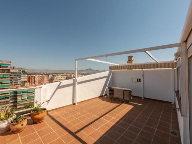 Ático en alquiler en Alicante, l'Albufereta
