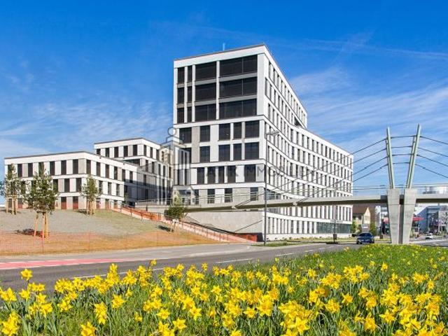 Büro mieten in Heidelberg, Baden-Württemberg