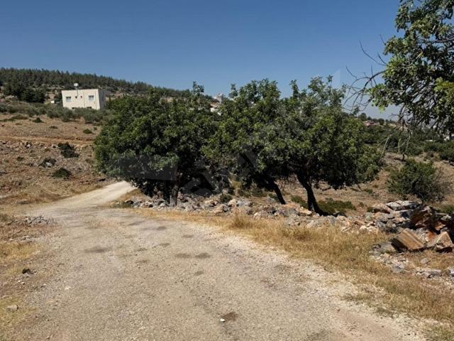 Tarsus, Mersin içerisinde satılık Arsa