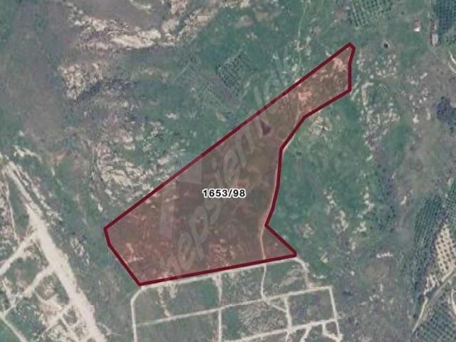 Dikili, İzmir içerisinde satılık Arsa