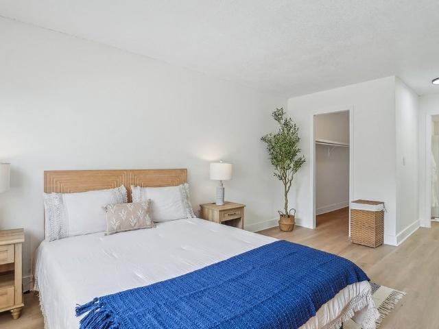 Apartment for rent in Saint Petersburg, Florida