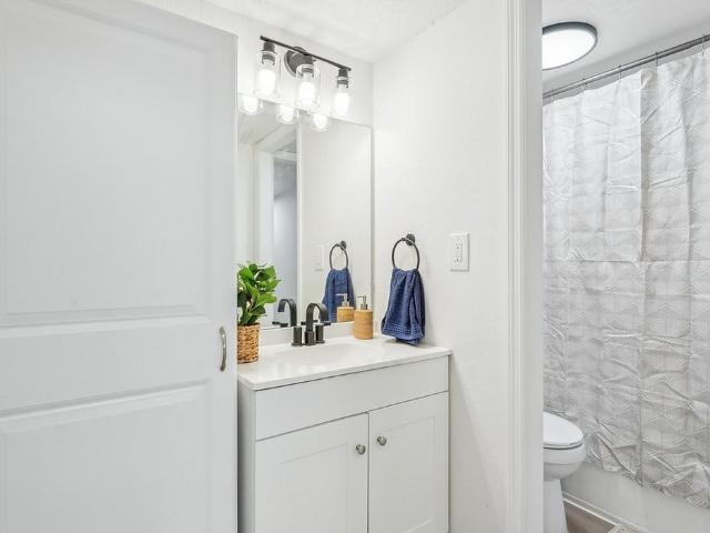 Apartment for rent in Saint Petersburg, Florida