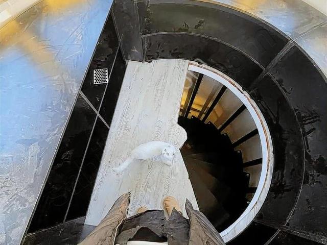 Sapanca, Sakarya içerisinde kiralık Villa