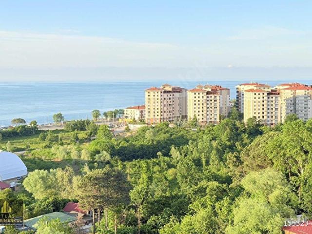 Gölevi, Ünye içerisinde satılık mülk