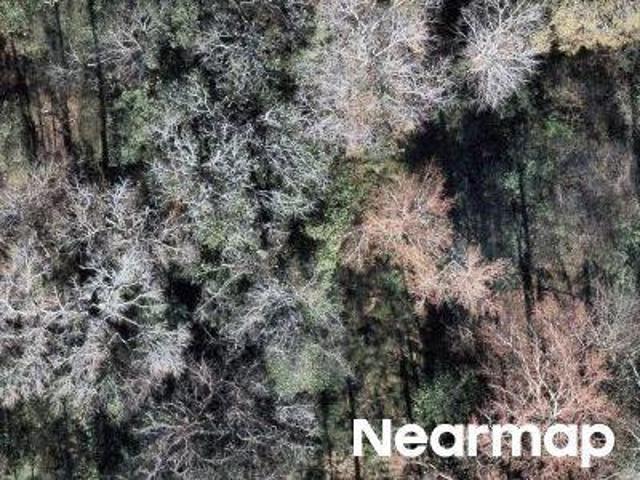 Land for sale in Macon, Georgia