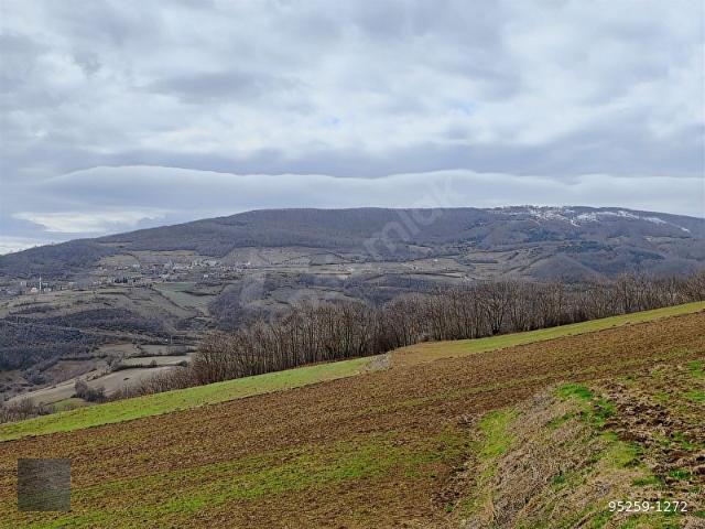 Atakum, Samsun içerisinde satılık Arsa