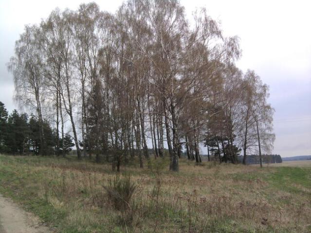 Grunt na sprzedaż w Polanów, Zachodniopomorskie