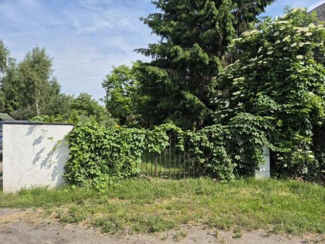 Grunt na sprzedaż w Rogoźno, Wielkopolskie