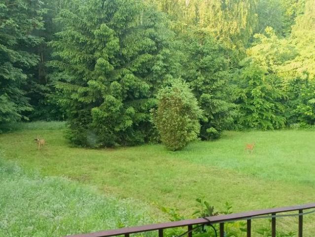 Mieszkanie na sprzedaż w Ułęż, Lubelskie