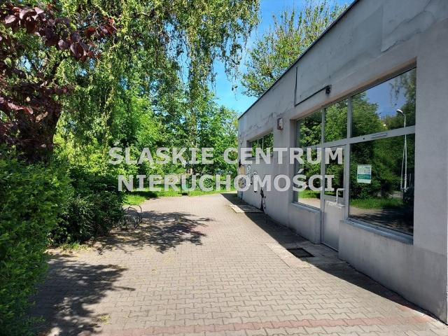 Mieszkanie do wynajęcia w Katowice, Śląskie