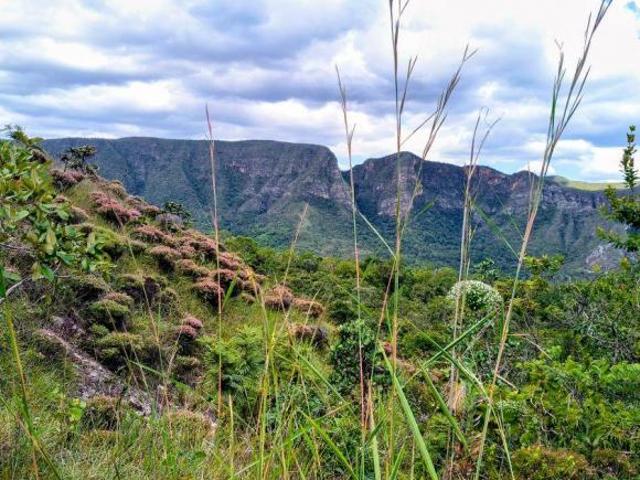 Sítio e chácara venda em Região Geográfica Imediata de Flores de Goiás, Alto Paraíso de Goiás