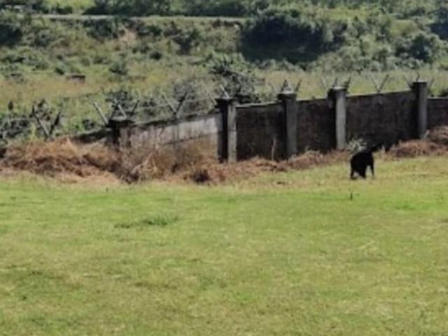 Land for sale in Kedarpur, Uttarakhand