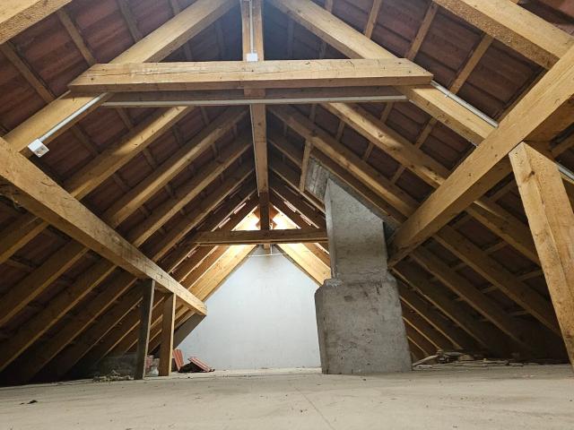Einfamilienhaus kaufen