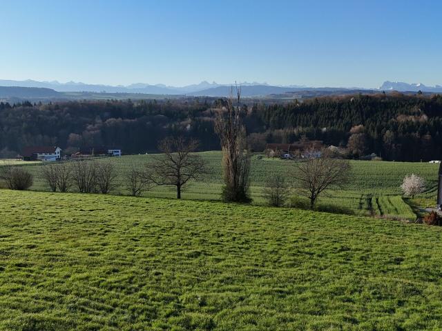 Einfamilienhaus kaufen in Mannens, Freiburg