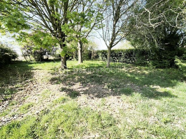 Terrain vente à France métropolitaine, Attainville