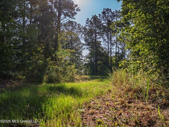 Land for sale in Kosciusko, Attala County