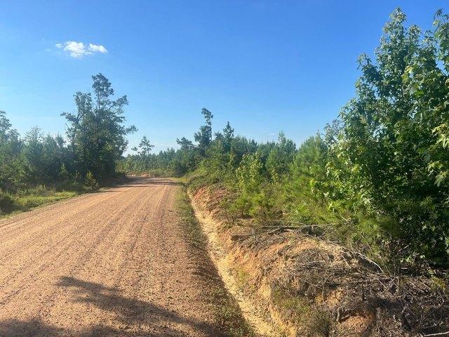Land for sale in Kosciusko, Mississippi