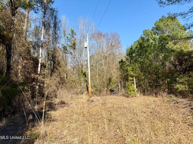Land for sale in Sallis, Mississippi