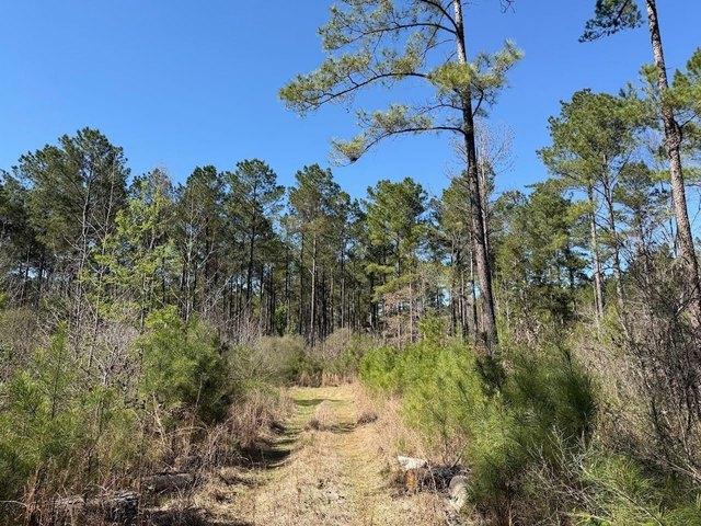 Land for sale in Sallis, Mississippi