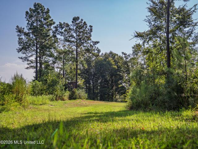Land for sale in Kosciusko, Attala County