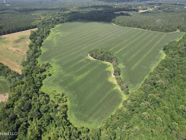 Land for sale in Sallis, Mississippi