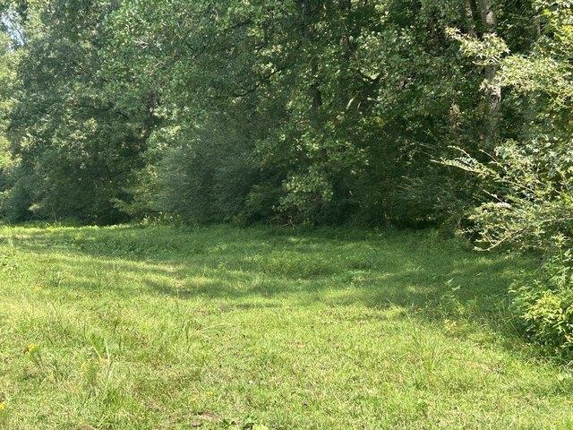 Land for sale in Bowdon, Georgia