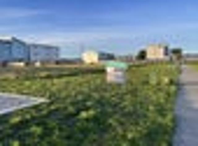 Land for sale in Awhitu, Oroua County